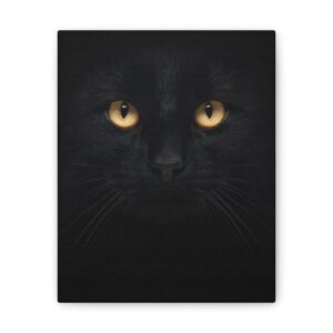 Mysterious Black Cat Canvas Print